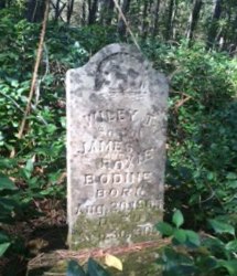 Grave of Riley Thomas Bodine