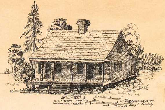 Sketch of the Bodine place in San Augustine Co., TX