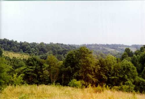 Picture taken on Isaac's land facing south toward Jesse's Run