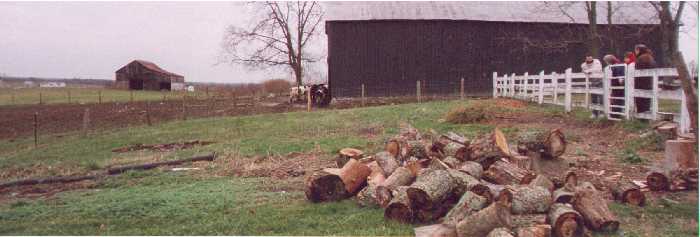 Possible
location of the Old McMakin Cemetery