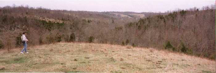 Picture taken of Isaac's land
facing south toward Jesse's Run