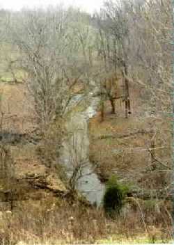 Picture taken of Isaac's land facing north from the Bluegrass Parkway